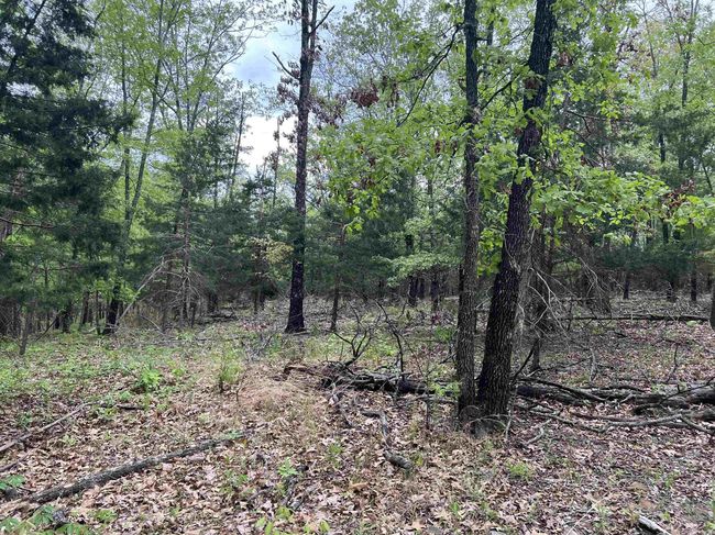 1 Eclipse Rd, Home with 0 bedrooms, 0 bathrooms and null parking in Saint Joe AR | Image 9