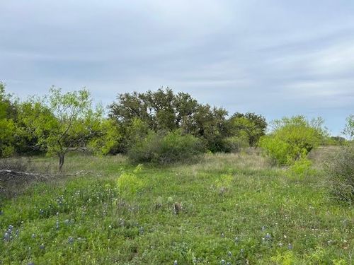 tbd County Road 225, Brookesmith, TX, 76801 | Card Image