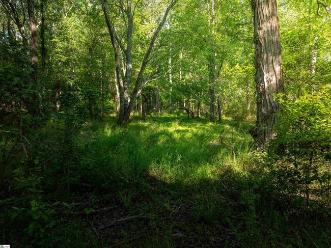 09 Holliday Dam Rd, Home with 0 bedrooms, 0 bathrooms and null parking in Honea Path SC | Image 18