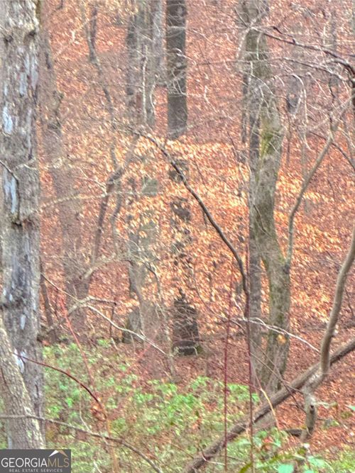 0 Crooked Creek Trce, Jasper, GA, 30143 | Card Image