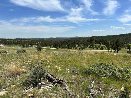 talon-trail-battle-cree-Lot 3D &amp; 3C Hwy 40, Keystone, SD, 57751 | Card Image