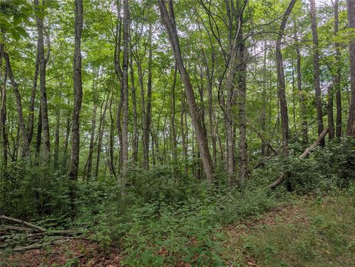Lot 2 Highlands Gap Road, Scaly Mountain, NC, 28775 | Card Image