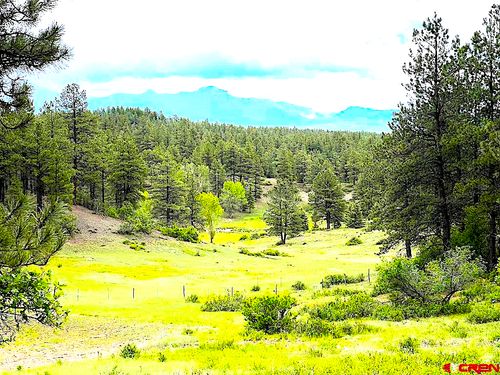 32 Esmt X Piney Place, Pagosa Springs, CO, 81147 | Card Image