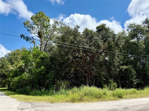 LOT 1 Palm Dr, EUSTIS, FL, 32726 | Card Image