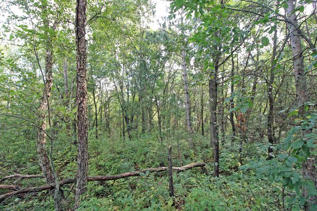7750 Pine Rd, House other with 3 bedrooms, 2 bathrooms and null parking in ARENA WI | Image 38