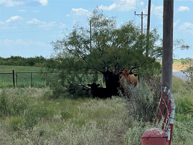 Corner of Property | Image 8
