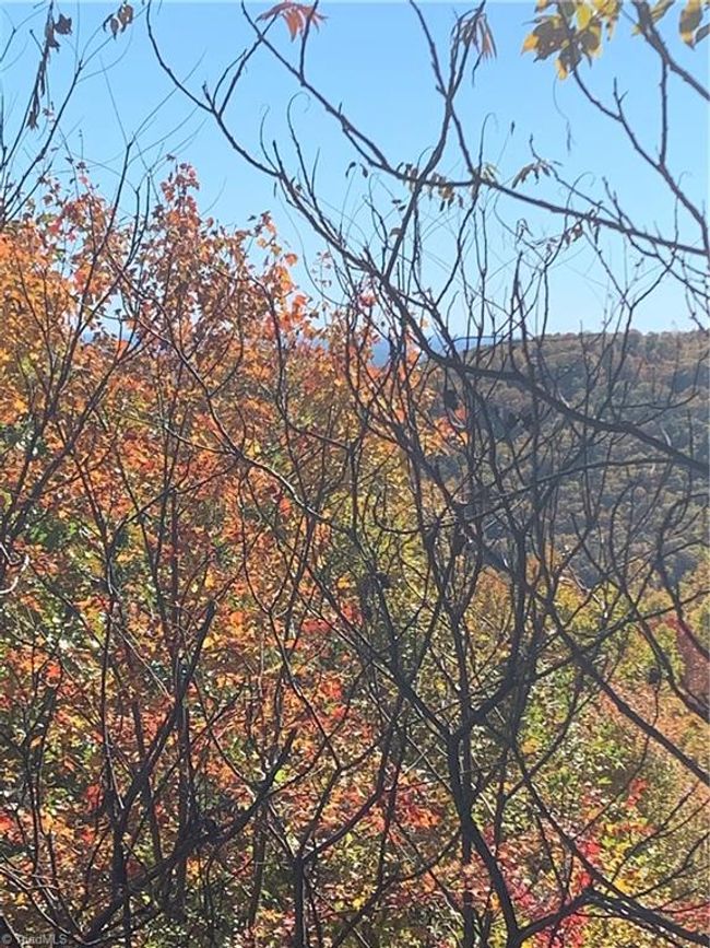 Lot 9 Falcon Ridge Dr, Home with 0 bedrooms, 0 bathrooms and null parking in Moravian Falls NC | Image 8