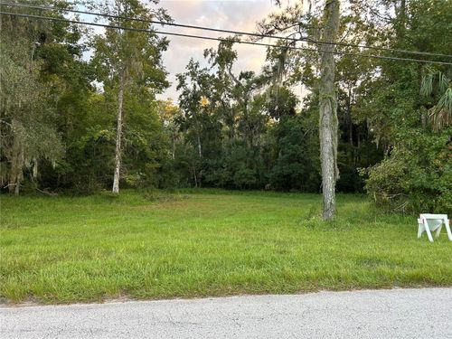 24916 Butler St, ASTOR, FL, 32102 | Card Image