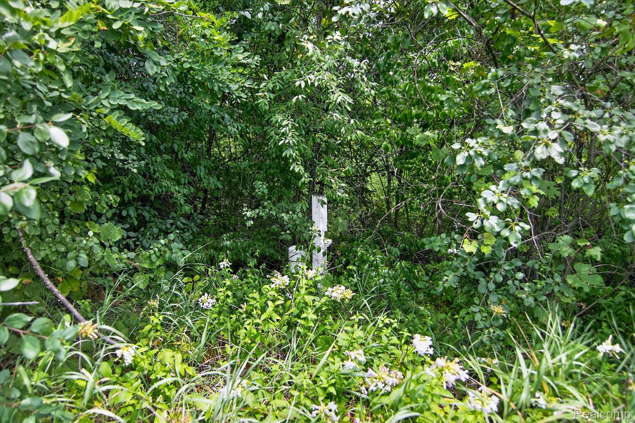 Land in York Charter Township 3