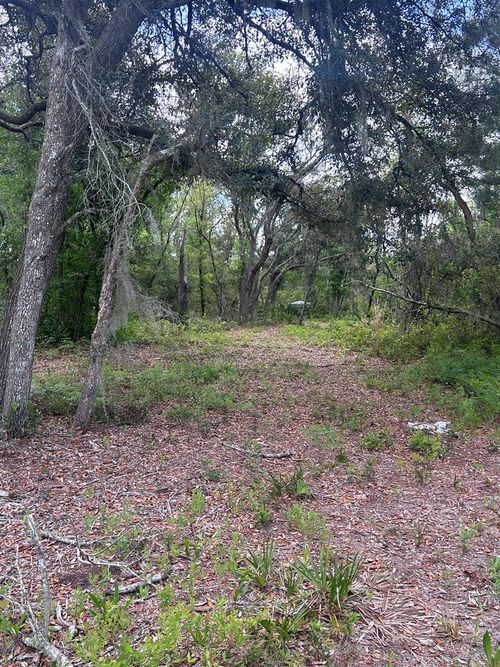 0000 Jody Morgan Rd, PERRY, FL, 32348 | Card Image