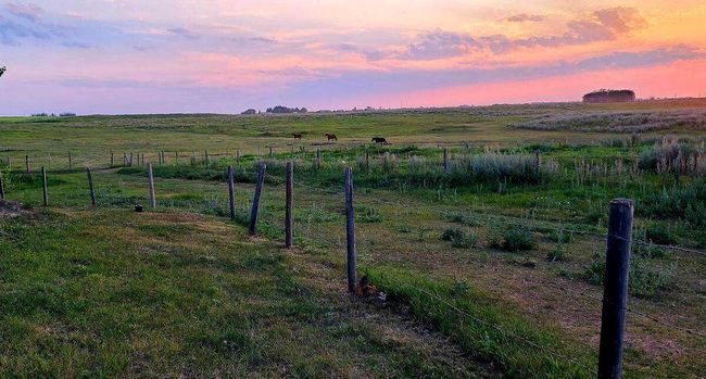 241054 Range Road 260, House other with 5 bedrooms, 3 bathrooms and 10 parking in Wheatland County AB | Image 27