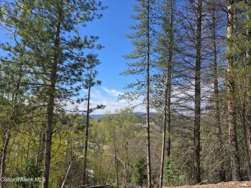 821 Lower Page, Smelterville, ID, 83868 | Card Image