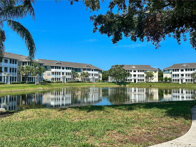 Pond | Image 21