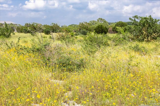 LOT 88 Sabinas Ridge Rd, Home with 0 bedrooms, 0 bathrooms and null parking in Boerne TX | Image 8