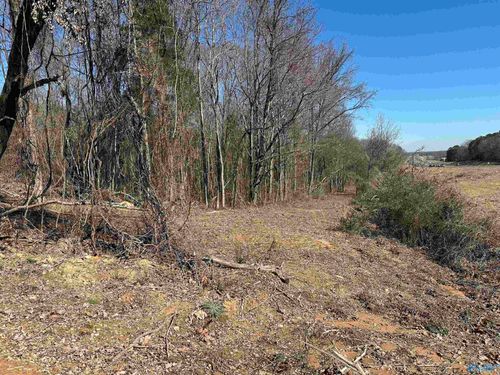13 acres Gordon Terry Parkway W, Decatur, AL, 35603 | Card Image