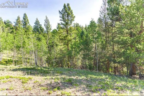 183 Cheyenne Trl, Lake George, CO, 80827 | Card Image