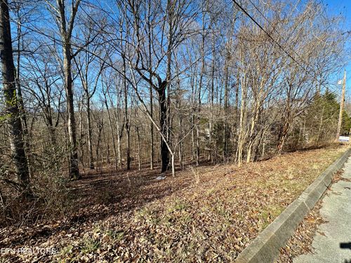 12 Hawthorn Pl, Norris, TN, 37828 | Card Image