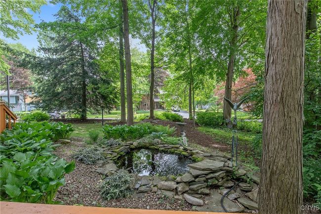 Water fall and pond with Koi | Image 4