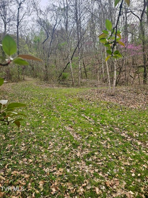 0 Christian Bend Rd, Church Hill, TN, 37642 | Card Image