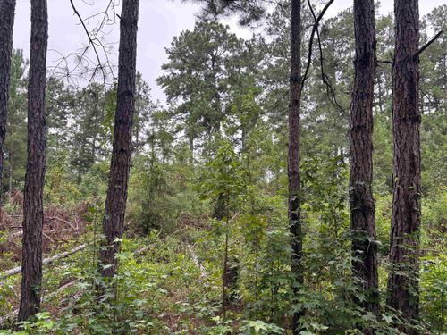 11 Mcgregor Cir, Lake City, SC, 29560 | Card Image