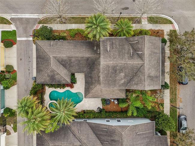 BEAUTIFUL FLORIDA OASIS! | Image 56