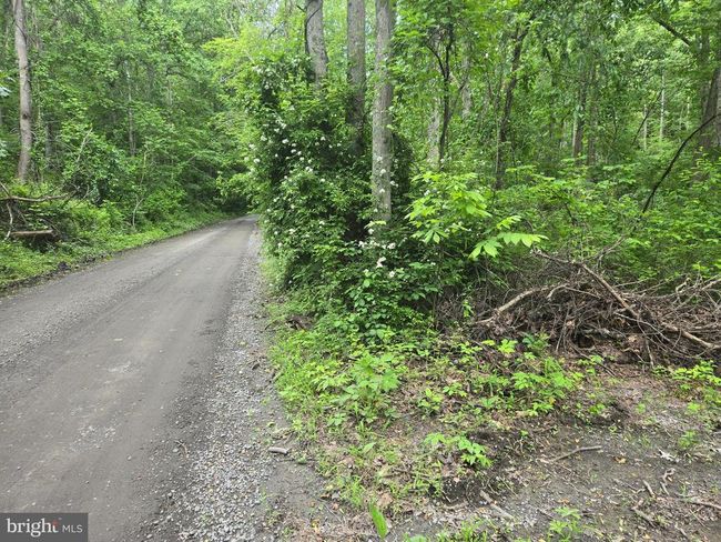 4127 Hardscrabble Rd, Home with 0 bedrooms, 0 bathrooms and null parking in Linden VA | Image 20