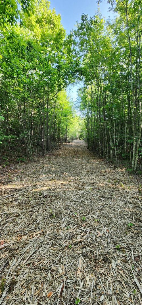 0 Tootley Campbell Rd, Monteagle, TN, 37356 | Card Image