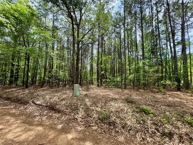 0 County Road 2742, Home with 0 bedrooms, 0 bathrooms and null parking in Naples TX | Image 15