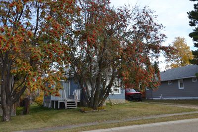 4822 51 Ave, House detached with 4 bedrooms, 1 bathrooms and 2 parking in Bentley AB | Image 2