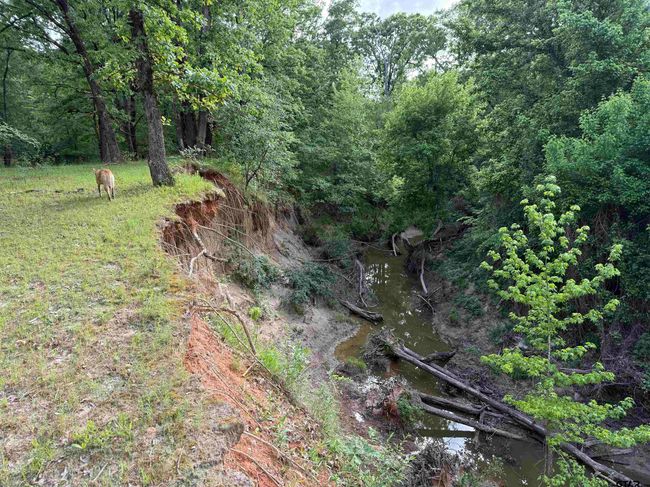 72 Acres N Farm Road 900, Home with 0 bedrooms, 0 bathrooms and null parking in Saltillo TX | Image 36