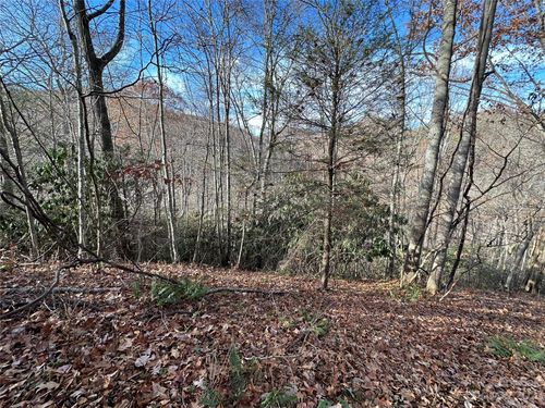 2-00 Rock House Cove Rd, Clyde, NC, 28721 | Card Image