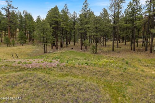 --TBD County Rd 2121, Alpine, AZ, 85920 | Card Image