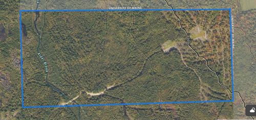 005-005-1 Grendell Road, Chapman, ME, 04757 | Card Image