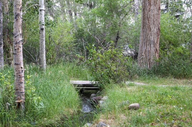 Bridge to Grizzly Meadows Cottage | Image 22