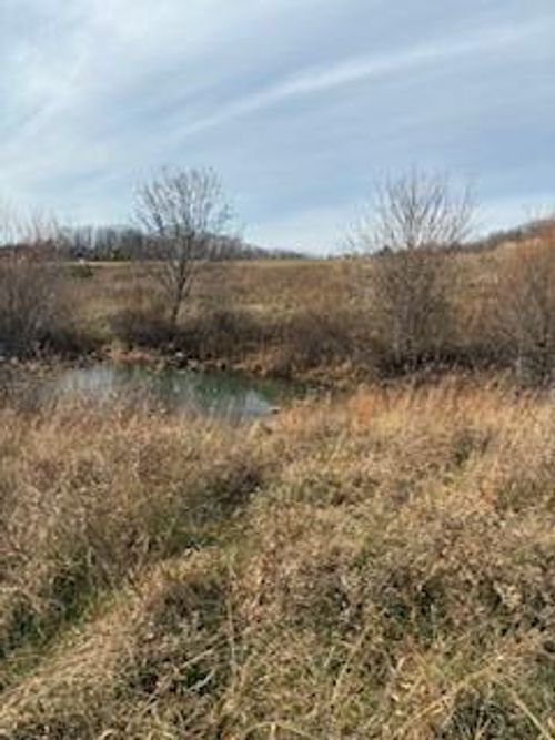 563 Moores Creek Greenhill Rd, Annville, KY, 40402-8354 | Card Image