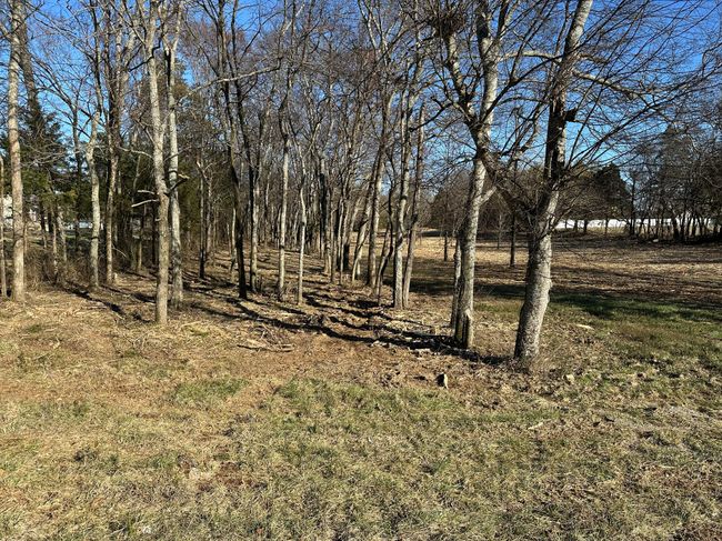 7540 Joe Rowlin Rd, House other with 3 bedrooms, 2 bathrooms and 4 parking in Christiana TN | Image 27