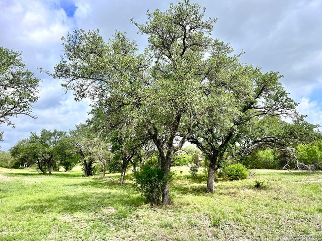 1155 Razor Ridge Rd, Home with 3 bedrooms, 2 bathrooms and null parking in Junction TX | Image 33