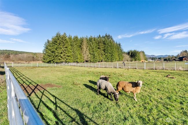 The property includes a versatile outdoor arena, ideal for training activities or use as additional holding space for animals. This multi-functional area adds to the property's adaptability, catering to a variety of needs | Image 38