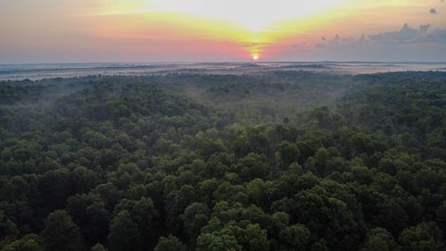 0 Highway 230, Mc Ewen, TN, 37101 | Card Image