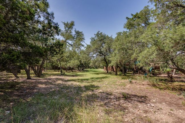 View of yard - so much privacy | Image 4