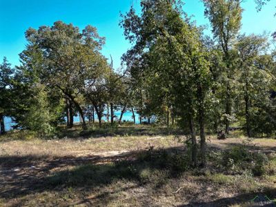 Lot 3 Tbd Granite Lane, Home with 0 bedrooms, 0 bathrooms and null parking in Hallsville TX | Image 2