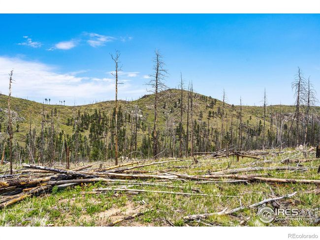 2384 Rist Creek Rd, Home with 0 bedrooms, 0 bathrooms and null parking in Bellvue CO | Image 15