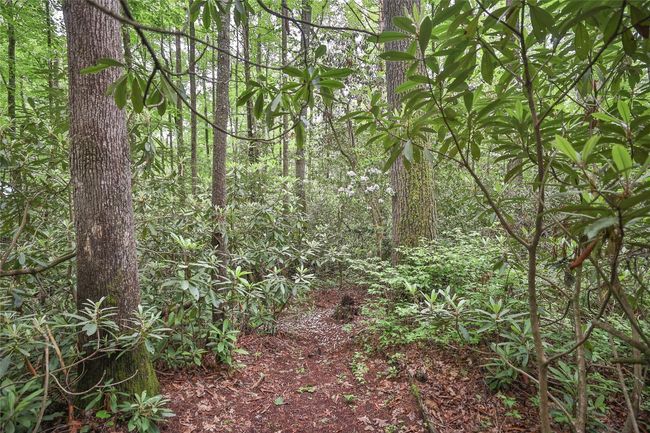 151 Rhododendron Ct, House other with 3 bedrooms, 3 bathrooms and null parking in Sapphire NC | Image 76