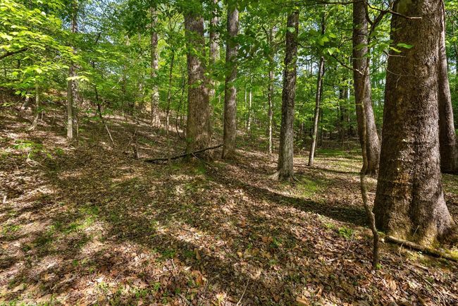 379 High Point Rd, Home with 0 bedrooms, 0 bathrooms and null parking in Moneta VA | Image 16