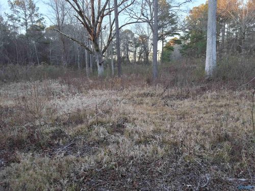 3.02 acres Euclid Rd, Gadsden, AL, 35903 | Card Image