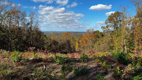 121 Darrell Dr, Tuscumbia, AL, 35674 | Card Image