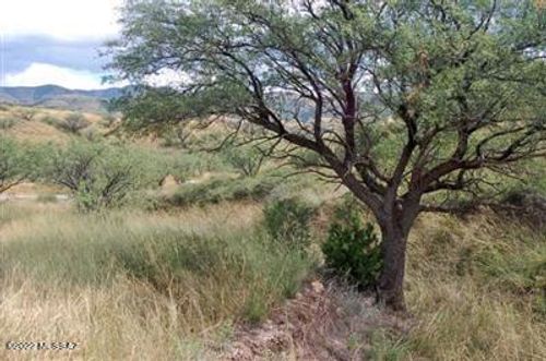 43-178 Tanglehead Lane, Patagonia, AZ, 85624 | Card Image