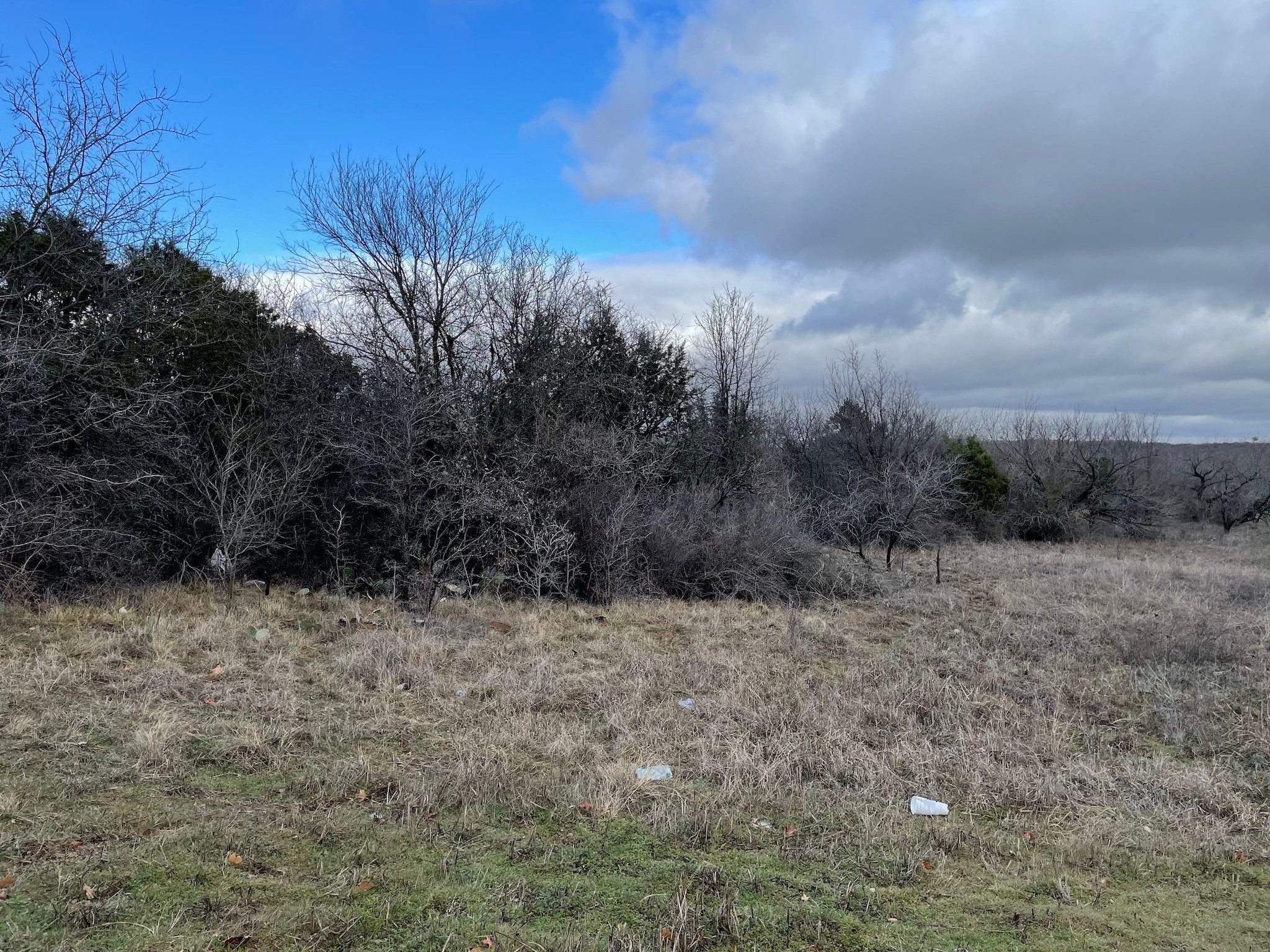Land in Mineral Wells