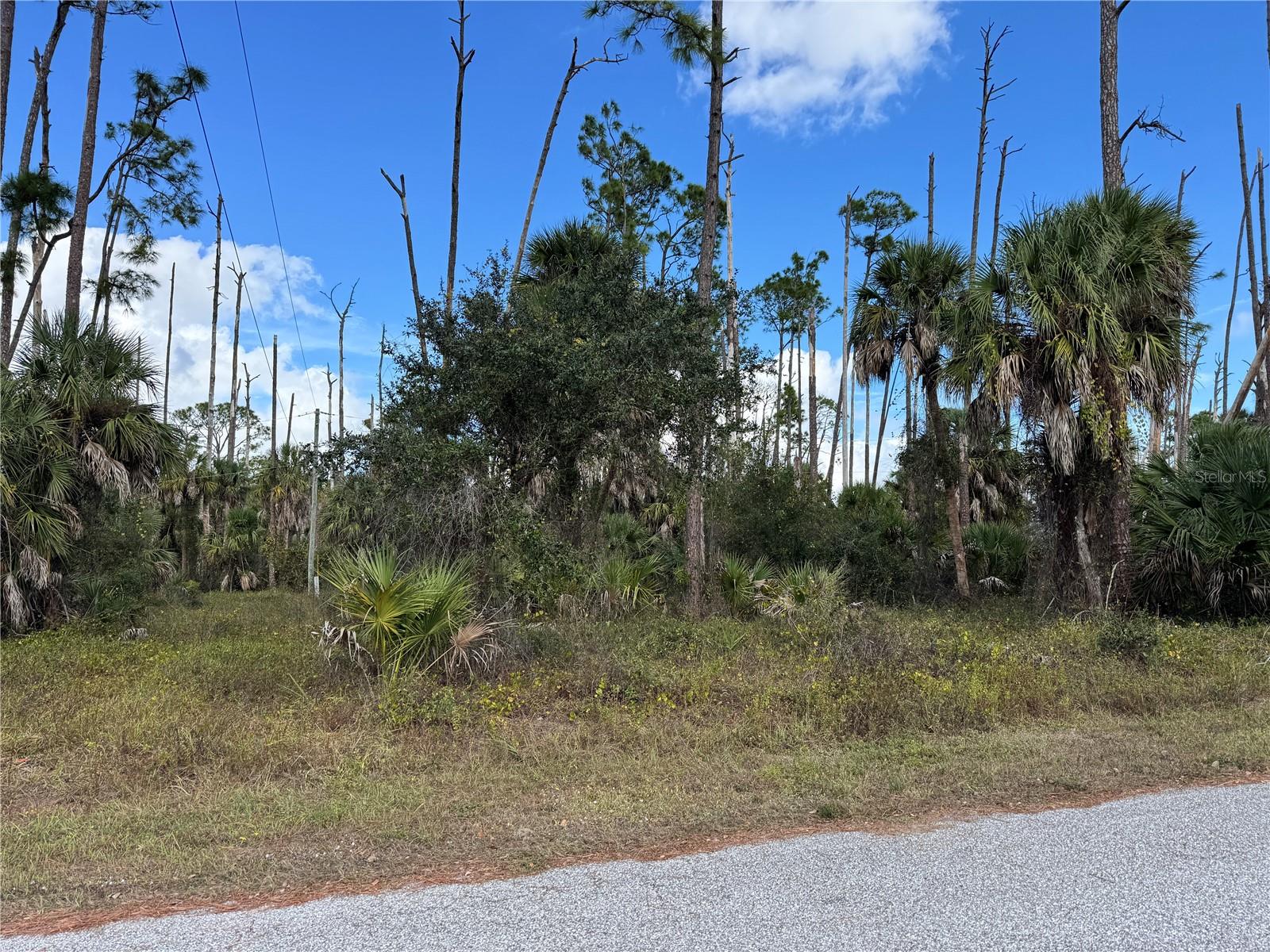 Land in PORT CHARLOTTE