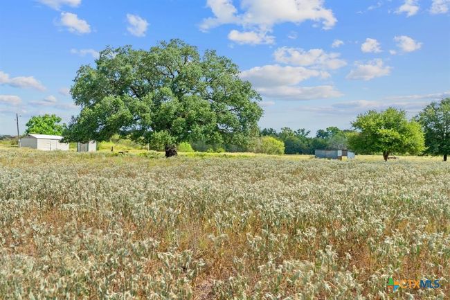 10 Sparta Field Rd, Home with 0 bedrooms, 0 bathrooms and null parking in Waelder TX | Image 11